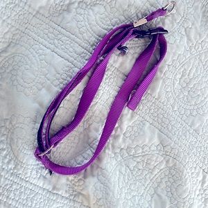 Gentle Leader for large 🐕